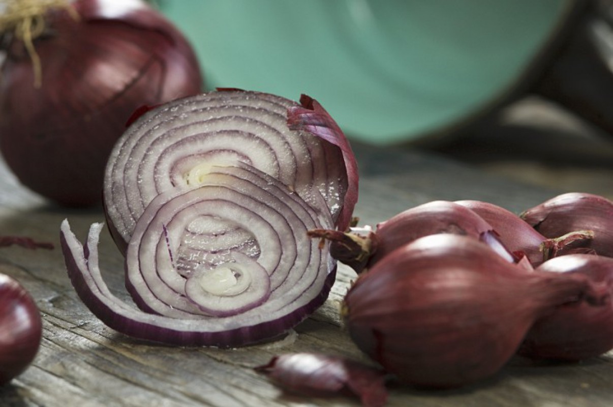 Red Onion Vegetables By Crop S