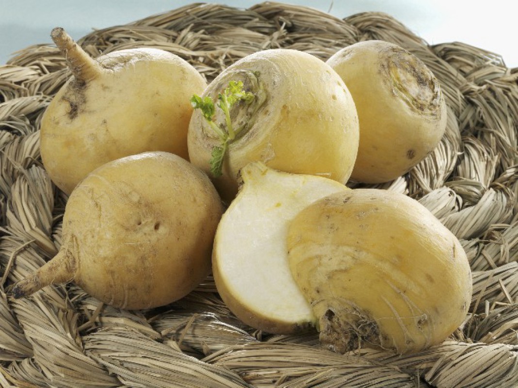Yellow turnip - Vegetables by Crop's